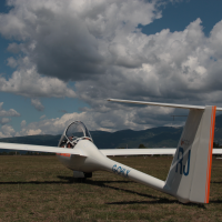 Wing Electronic Gliding Team